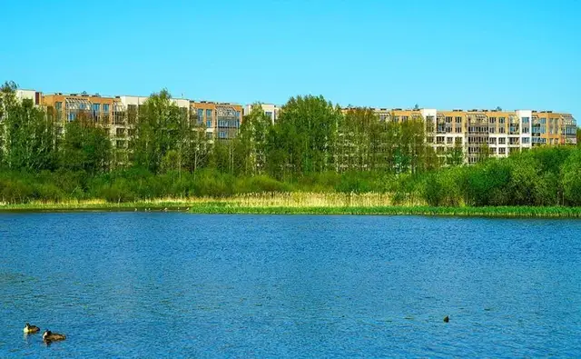 БФА в Озерках — фото 4